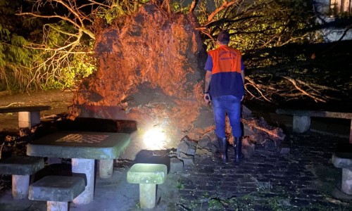 Defesa Civil de Barra Mansa atua intensamente para reparar danos causados pela chuva