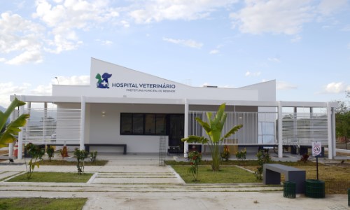 Hospital Veterinário de Resende já atendeu mais de 181 mil animais
