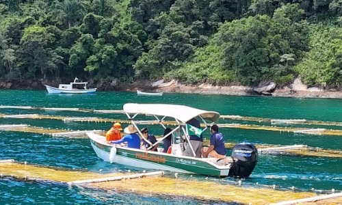 Projeto de Algicultura de Paraty concorre ao prêmio de Cidade Empreendedora do Sebrae