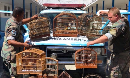 BM registra aumento nos atendimentos a denúncias ambientais