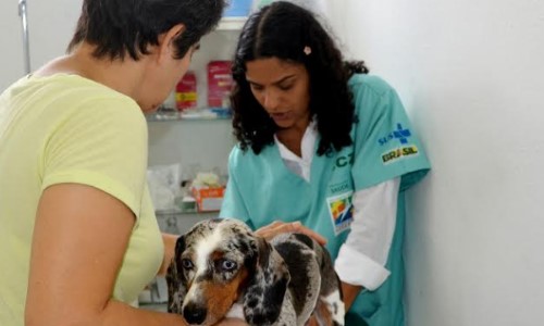 Resende: Vacinação antirrábica começa pela zona rural