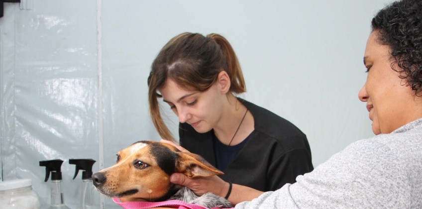 Clínica Veterinária de Barra Mansa já realizou mais de 2.100 castrações em 2025
