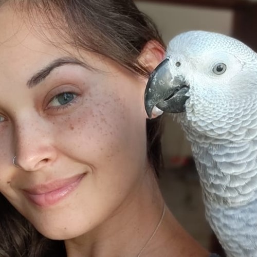Exotic Pets Hotel: um refúgio feito com amor para os pets nada convencionais
