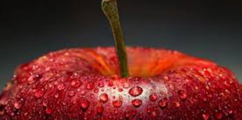 Boletim da Conab identifica queda de preços da maçã em todas as Ceasas analisadas