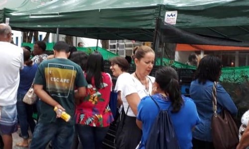 Exposição de Orquídeas promove ação social em Barra Mansa