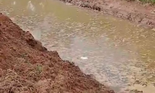 Prefeito de Barra do Piraí e governador anunciam início da dragagem do Rio Paraíba na Califórnia
