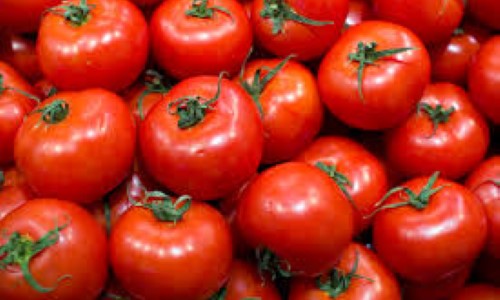 Tomate segue com alta de preços
