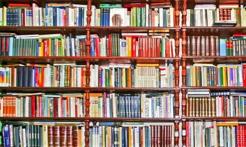Projeto de Doação e Troca de Livros é criado em Porto Real